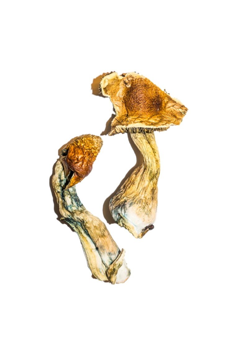 B-Magic-Mushroom-768x1152-1
