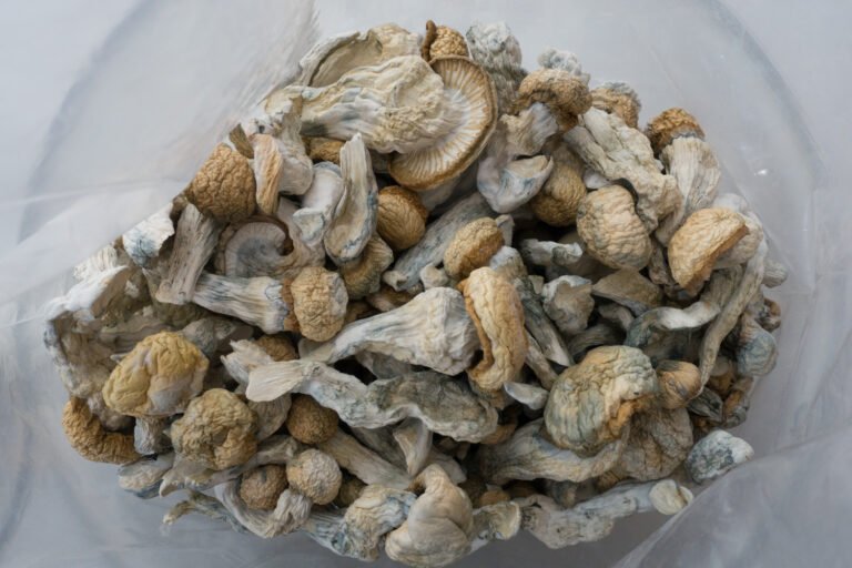 Penis-Envy-Bag-Shrooms-Canada-768x512-1-2